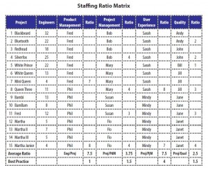 Staffing Ratio Matrix