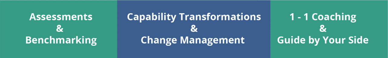 Agile Consulting Services Approaches