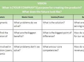 Product Vision & Selection Criteria Tool