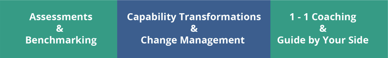 Product Portfolio Management Consulting Engagement