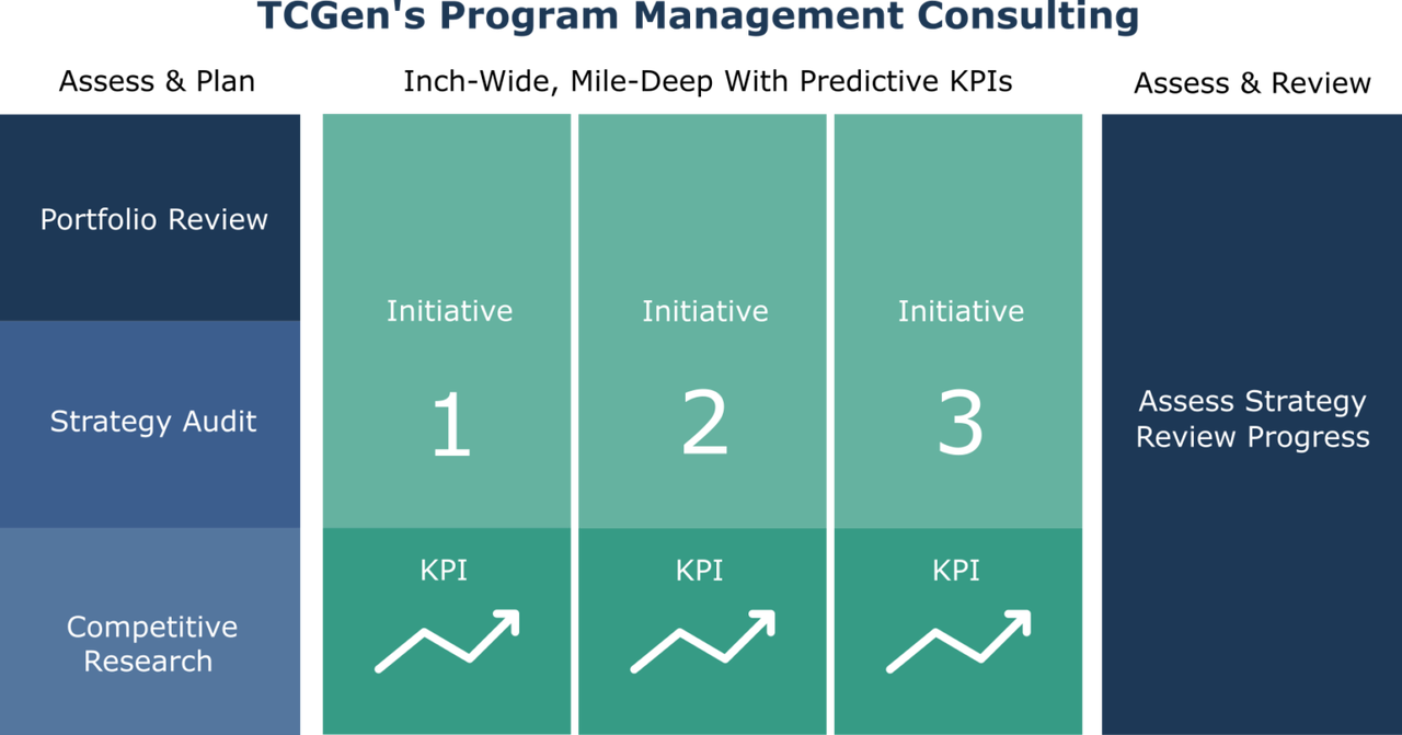 Program Management Consulting